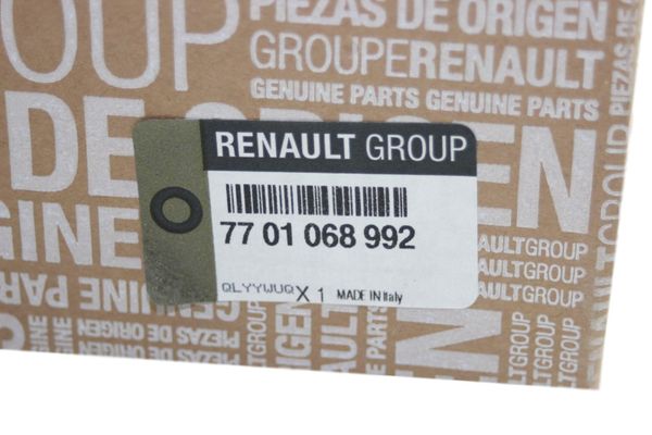 Ventilátor Dmýchadlo  Kangoo II 7701068992 Renault